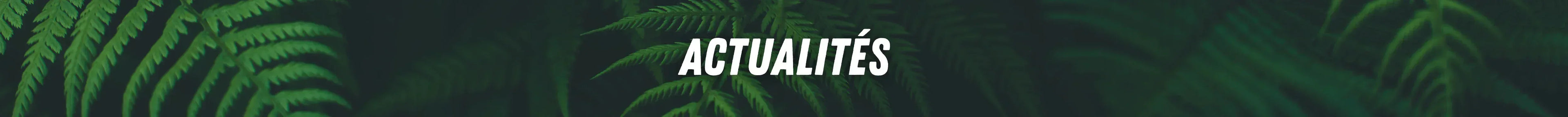 ACTUS - La Carte Rare